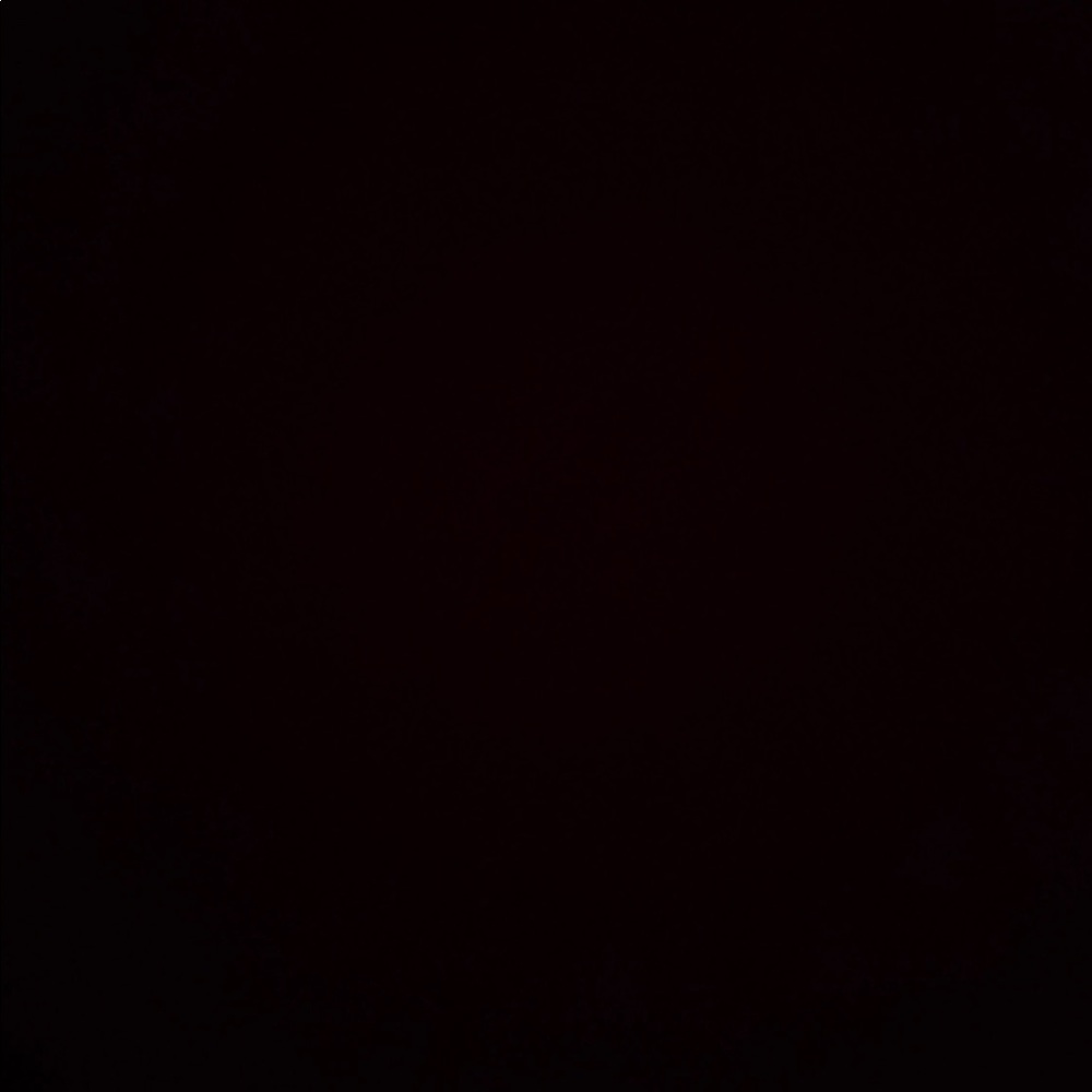 Meet your Posher, Raven